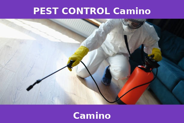 PEST CONTROL Camino